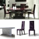 Dining table and chair,Glossy painting table,divani
