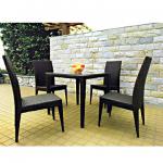 2011 new style Wicker dining table and chair-CHZ-5781