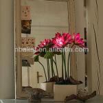 Bright lotus flowers in a vase