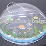clear acrylic plexiglass cover dome