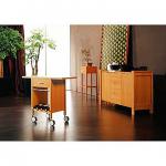 furniture, buffet, dining cart, cabinet, buffet (KZ02, KK08, KJ13)-KZ02, KK08, KJ13