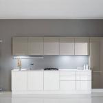 traditional stainless steel kitchen pantry cabinets/cabinetry color combination for sale