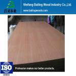 ash /red oak veneer faced MDF-BL002