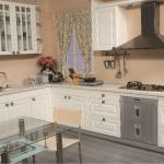 Modern wooden kitchen furniture(made in china)-OJKC--099