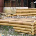 bamboo furniture for sale