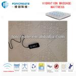 Bed Mattress For Therapy Body