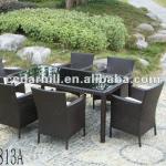 2014 Foshan factory hot sell rattan garden furniture-CH-813A