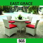 ZY-03 PE rattan/wicker outdoor garden chair sectional stylish holiday dinner/coffee furniture-TZY-ZY-03