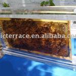 clear acrylic bee hive,bee hive