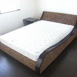 Waterhyacinth bed