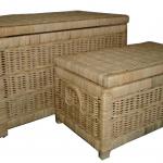 Trunk Set Of 2 Chests