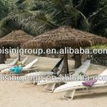 Rattan Recliner Sun Loungers/Sun Beds (BF10-R401)