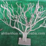 decorative tea tree TY14129