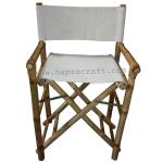 Director chair (GT 769) GT 769