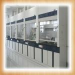 Stainless steel or all steel chemical laboratory fume hood SY00030